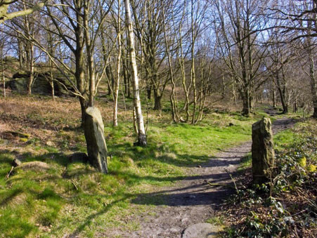 photograph of Bilberry Bank