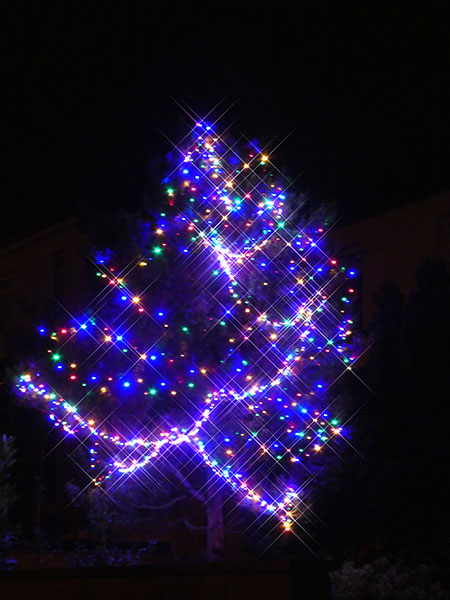 christmas lights