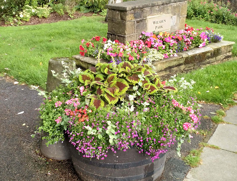 floral displays