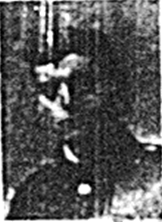 WW1 W Crabtree