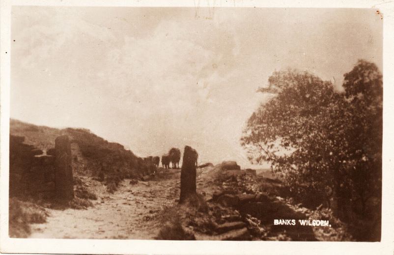 Bilberry Bank