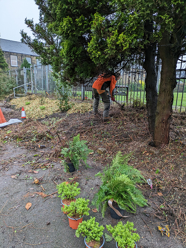 Adding the new shrubs