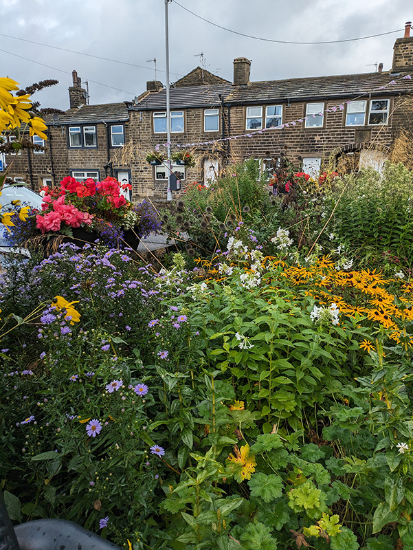 Aster, Phlox, Rudbeckii, 1st semi sunny bed