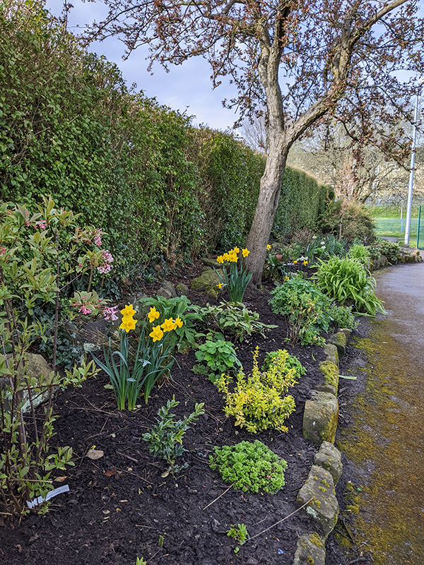Centre shrub bed