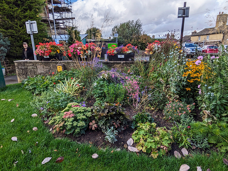 New planting 2nd Sunny bed